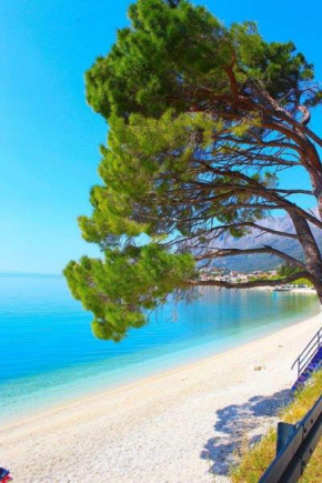 Apartman Nina, Gradac